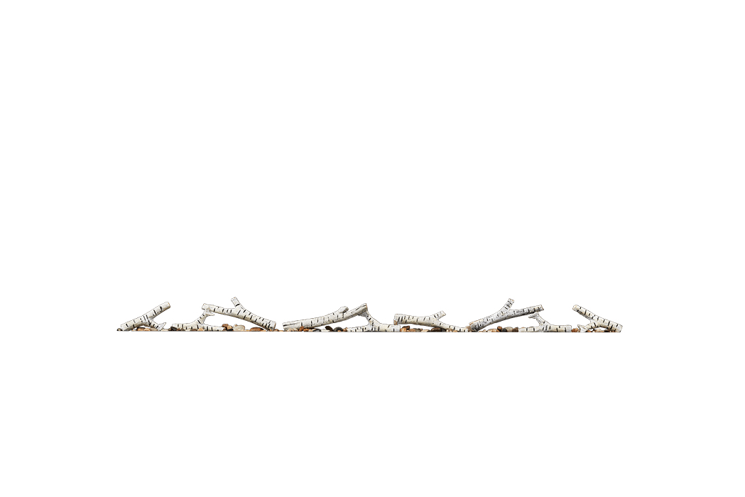 Ensemble de bûches de bouleau avec roches pour Entice™ 60